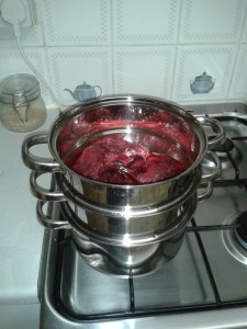 Placenta Simmering on the Stove